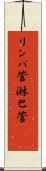 リンパ管 Scroll