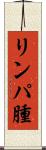 リンパ腫 Scroll