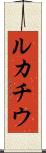 ルカチウ Scroll