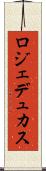 ロジェデュカス Scroll