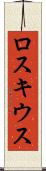 ロスキウス Scroll