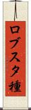 ロブスタ種 Scroll