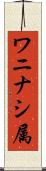 ワニナシ属 Scroll