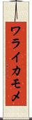 ワライカモメ Scroll