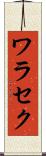 ワラセク Scroll