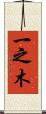 一之木 Scroll