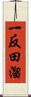 一反田溜 Scroll