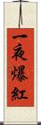 一夜爆紅 Scroll