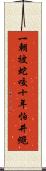 一朝被蛇咬，十年怕井繩 Scroll