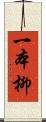 一本柳 Scroll