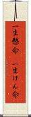 一生懸命(P) Scroll