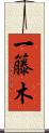 一籐木 Scroll