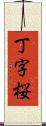 丁字桜 Scroll