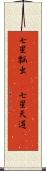 七星瓢虫(rK) Scroll