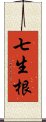 七生根 Scroll