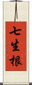 七生根 Scroll