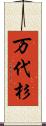 万代杉 Scroll