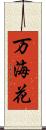 万海花 Scroll
