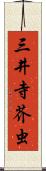 三井寺芥虫 Scroll