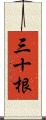 三十根 Scroll