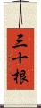 三十根 Scroll