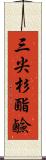 三尖杉酯鹼 Scroll