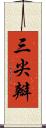 三尖瓣 Scroll