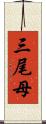 三尾母 Scroll