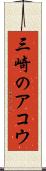 三崎のアコウ Scroll