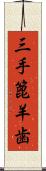 三手篦羊歯 Scroll