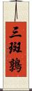 三斑鶉 Scroll