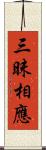 三昧相應 Scroll