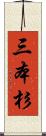 三本杉 Scroll