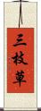三枝草 Scroll