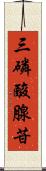 三磷酸腺苷 Scroll