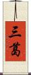 三葛 Scroll