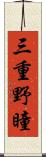 三重野瞳 Scroll