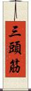 三頭筋 Scroll