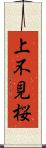 上不見桜 Scroll