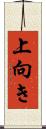 上向き Scroll