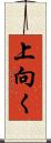 上向く Scroll