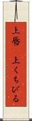 上唇(P) Scroll
