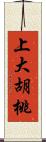 上大胡桃 Scroll