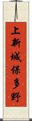 上新城保多野 Scroll