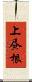 上昼根 Scroll