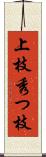 上枝 Scroll