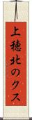 上穂北のクス Scroll