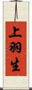 上羽生 Scroll