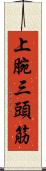 上腕三頭筋 Scroll
