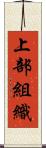上部組織 Scroll